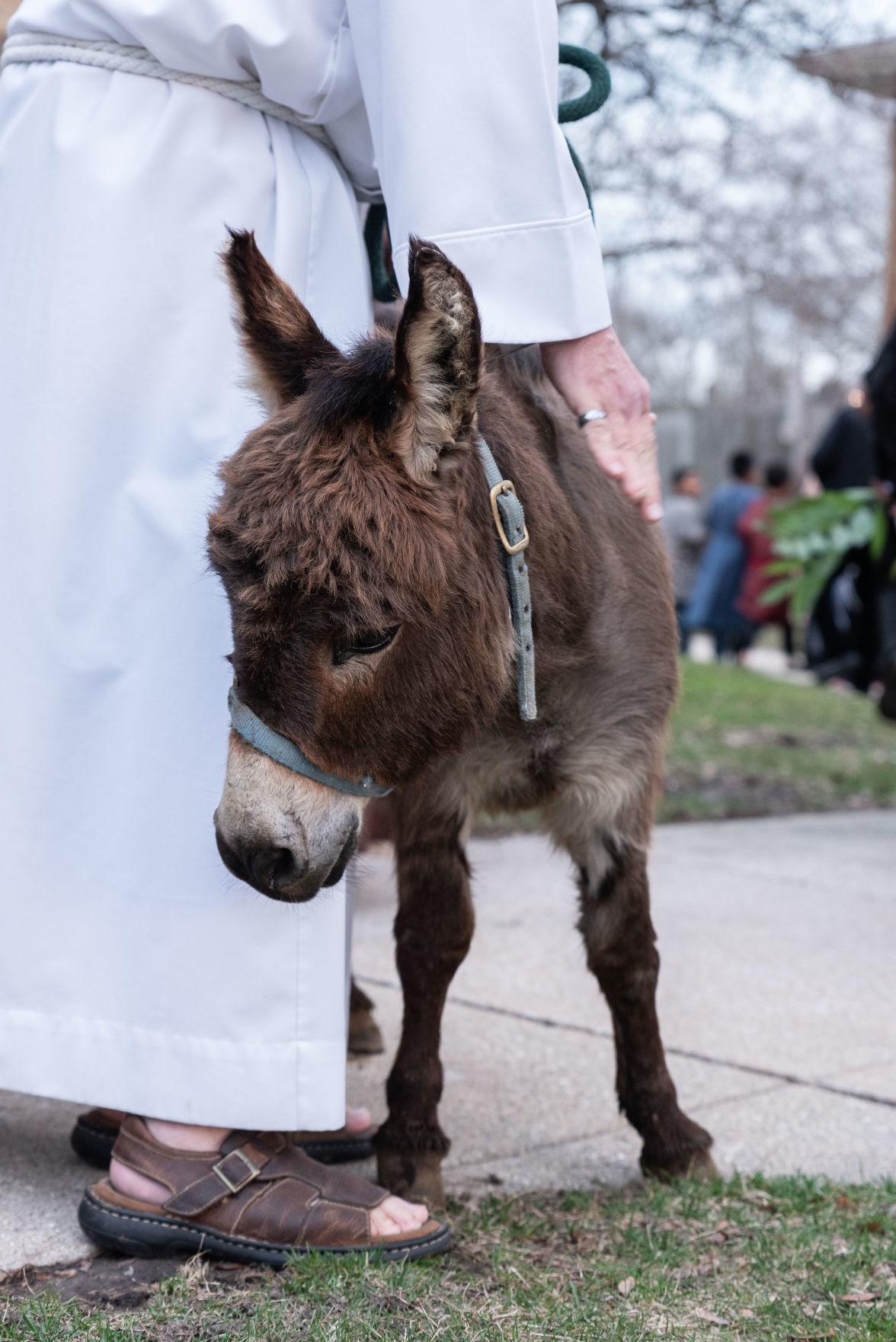 Emaus Lutheran hosts walk of the passion